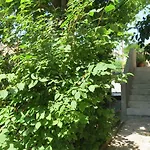 Marko Appartement