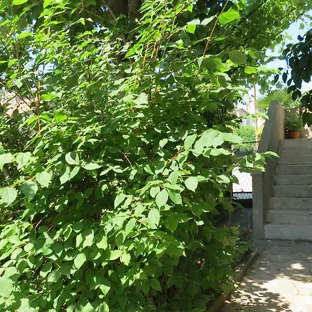 Marko Apartman